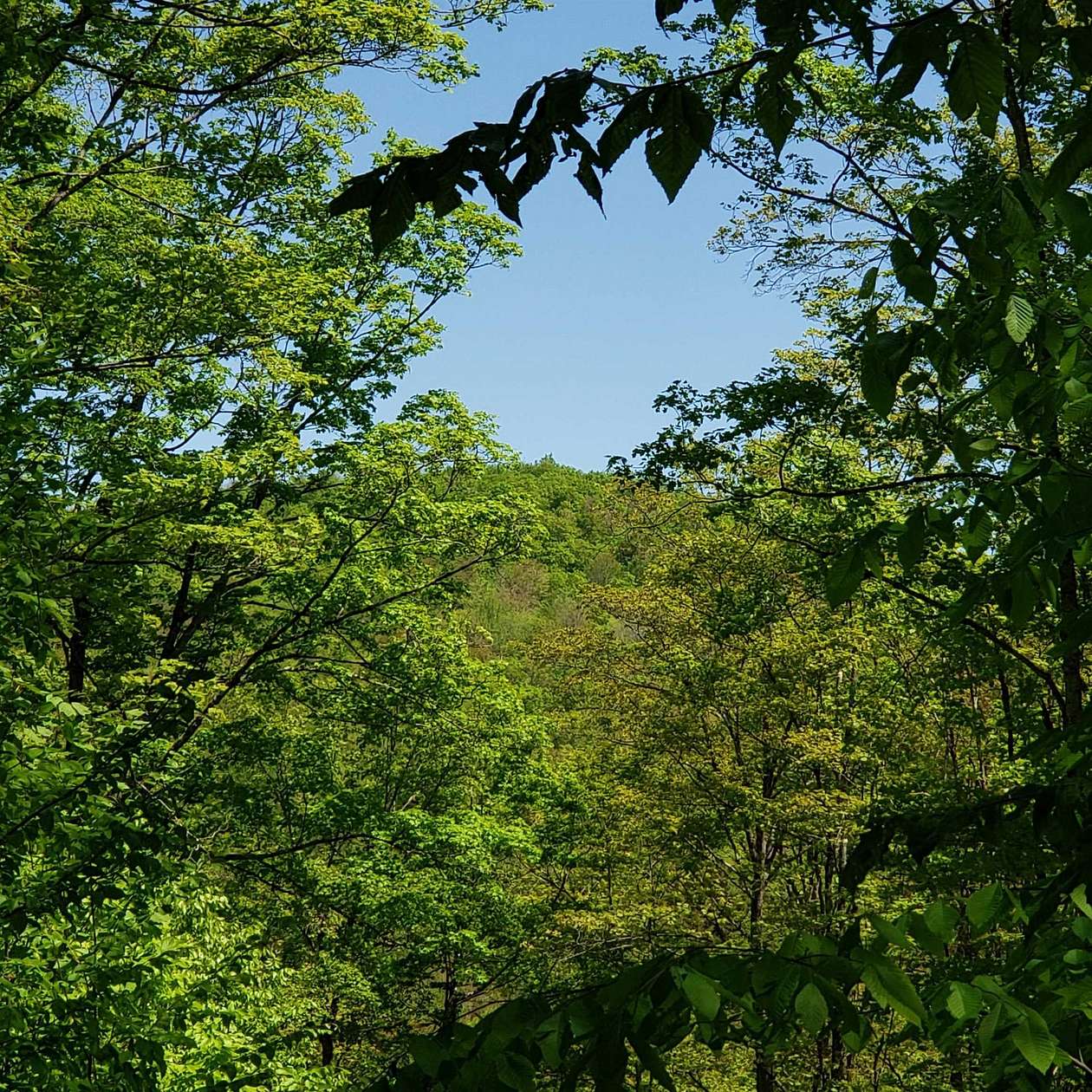 68 Acres of Recreational Land for Sale in Roxbury, Vermont