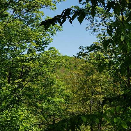 68 Acres of Recreational Land for Sale in Roxbury, Vermont