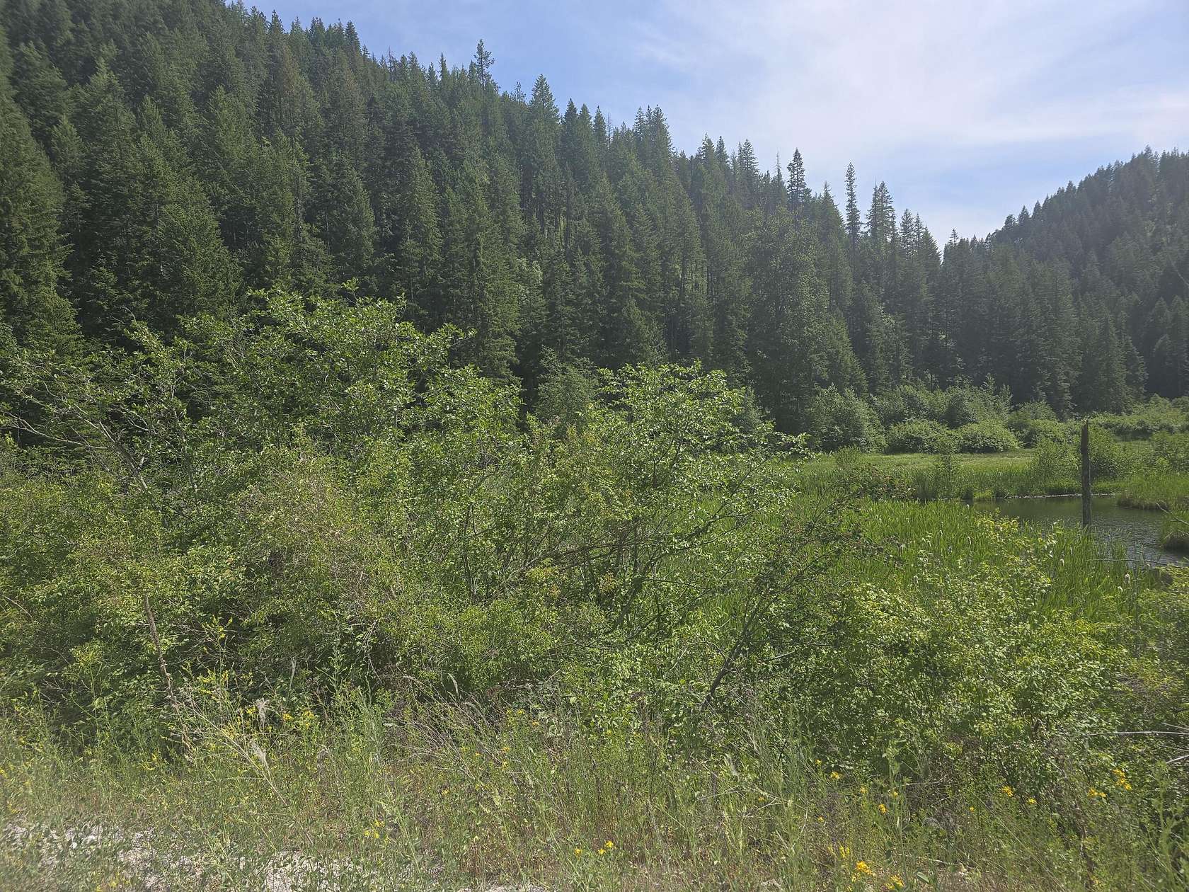 138 Acres of Recreational Land for Sale in Valley, Washington