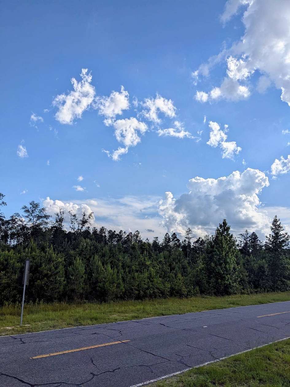 5 Acres of Land for Sale in Pembroke, Georgia