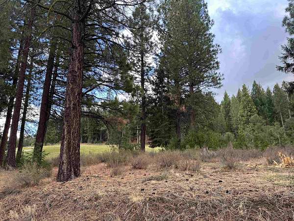 1.24 Acres of Land for Sale in Portola, California