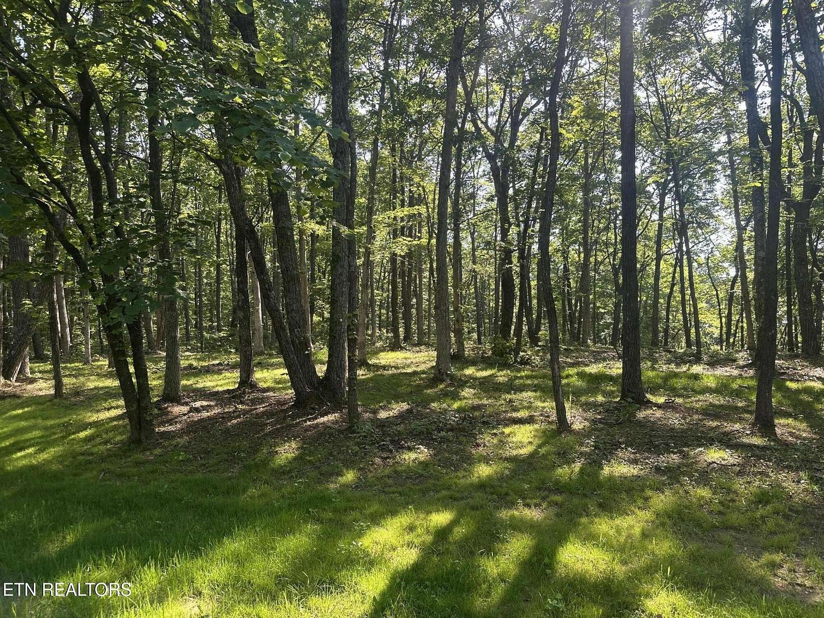 0.47 Acres of Land for Sale in Crab Orchard, Tennessee