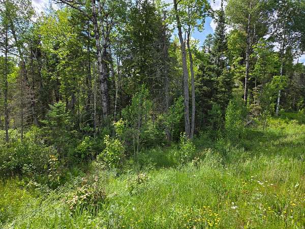 40 Acres of Recreational Land for Sale in Watersmeet, Michigan
