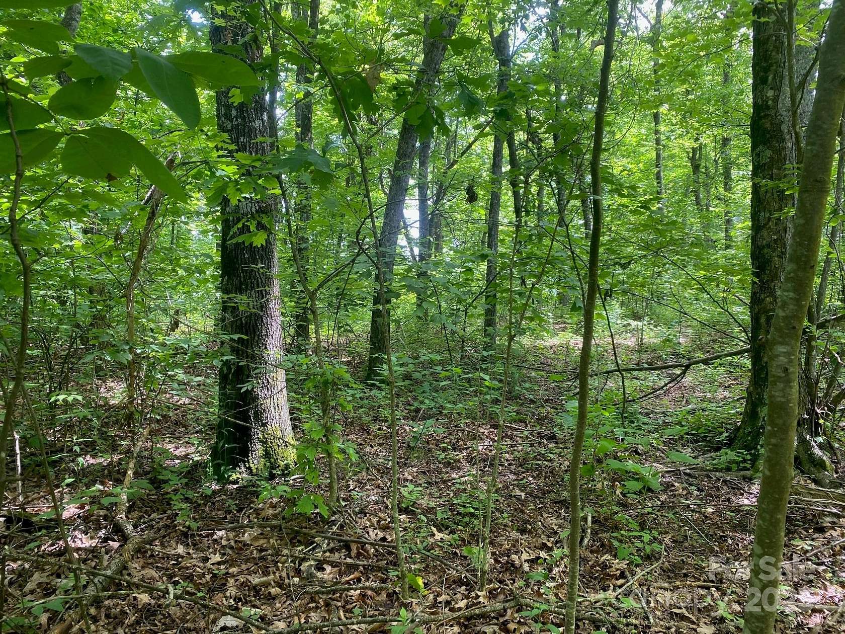 10.5 Acres of Land for Sale in Black Mountain, North Carolina
