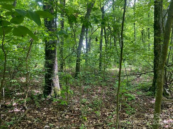 10.5 Acres of Land for Sale in Black Mountain, North Carolina