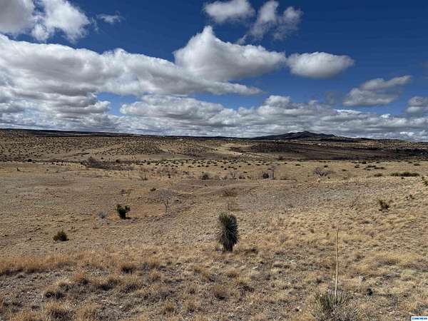 27.6 Acres of Land for Sale in Silver City, New Mexico