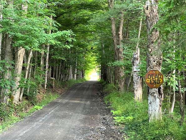 15.5 Acres of Recreational Land for Sale in Erin, New York