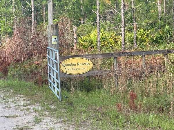 10 Acres of Recreational Land for Sale in Woodbine, Georgia