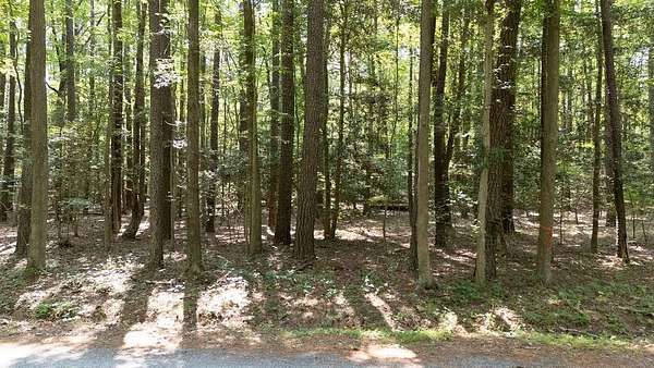 0.24 Acres of Residential Land for Sale in Reedville, Virginia