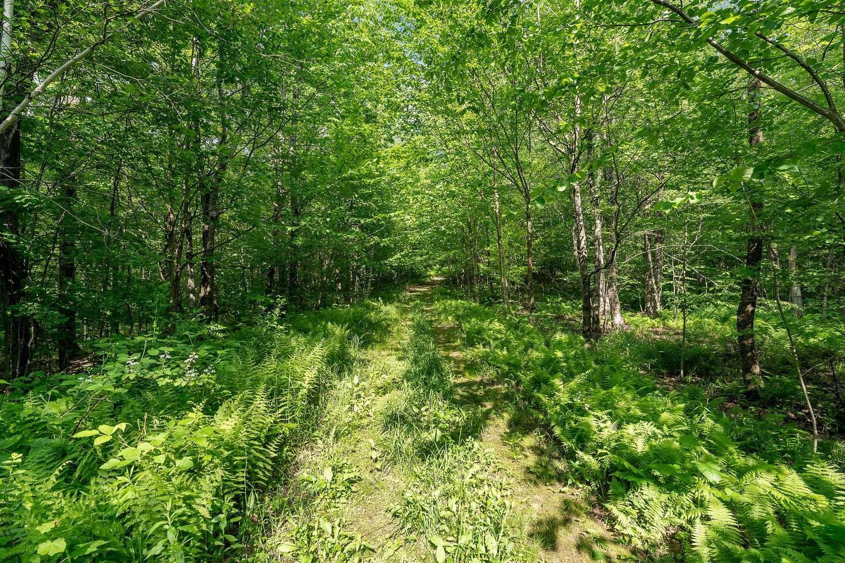 13.3 Acres of Land for Sale in Bolton, Vermont