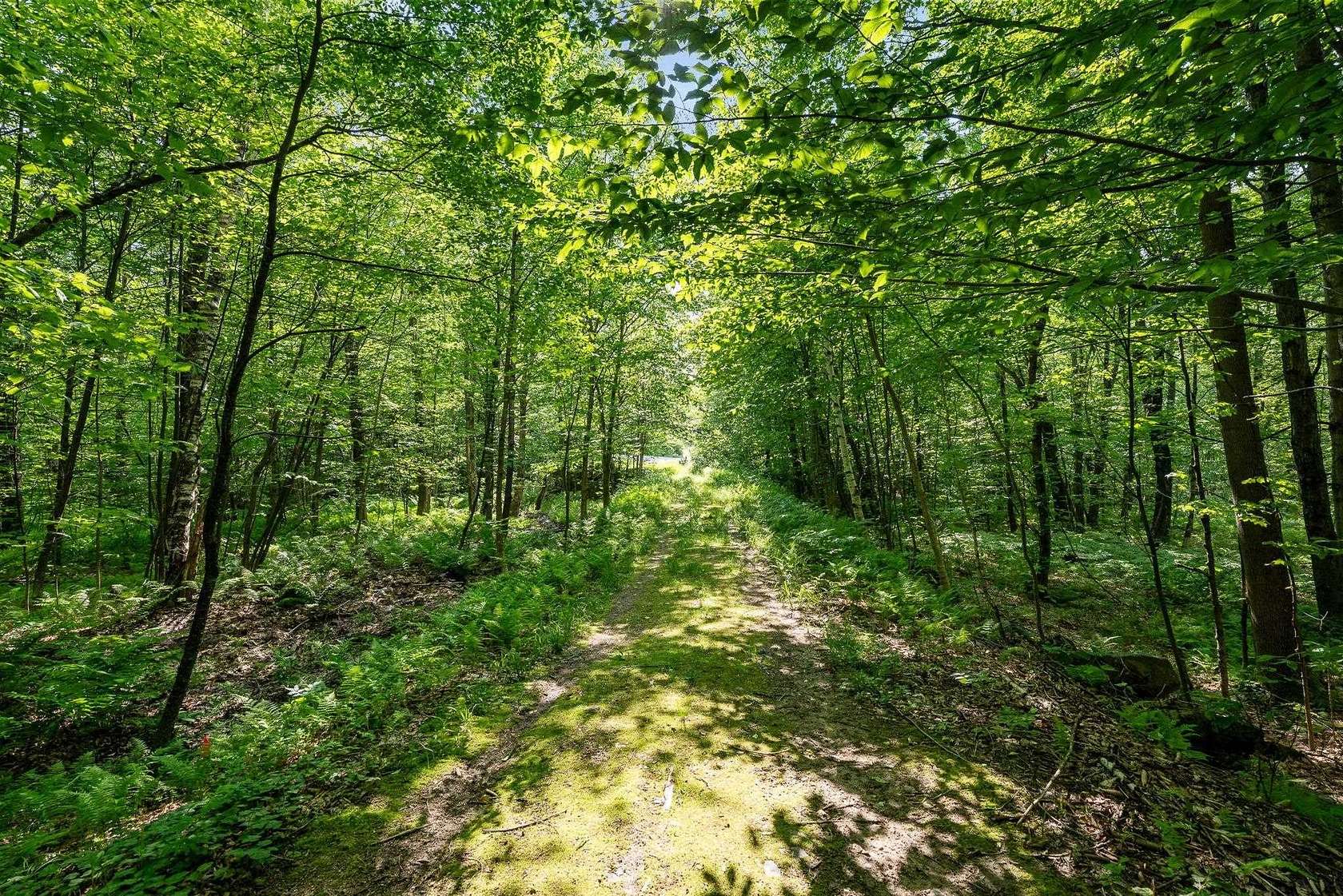 13.3 Acres of Land for Sale in Bolton, Vermont