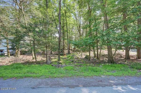 0.29 Acres of Residential Land for Sale in Lake Ariel, Pennsylvania