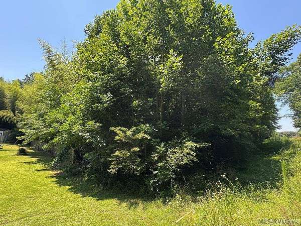 0.96 Acres of Residential Land for Sale in Lawrenceville, Virginia