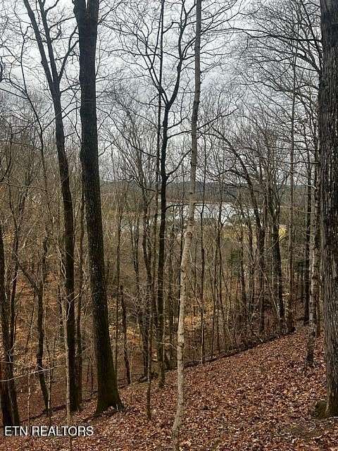 2.35 Acres of Land for Sale in Sharps Chapel, Tennessee