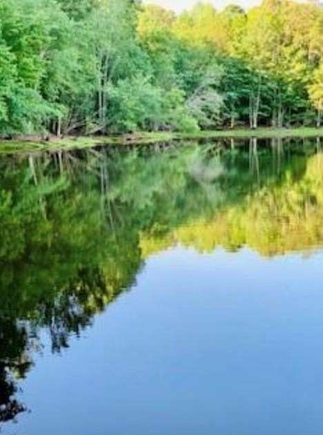 18.7 Acres of Land for Sale in Fayetteville, Georgia