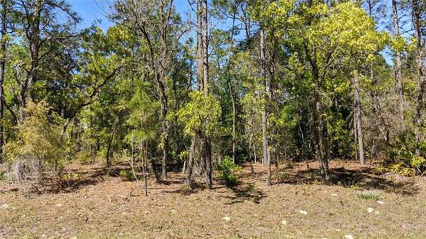 4.62 Acres of Residential Land for Sale in Dunnellon, Florida