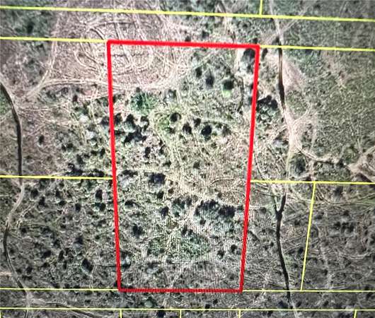 5 Acres of Land for Sale in Okeechobee, Florida