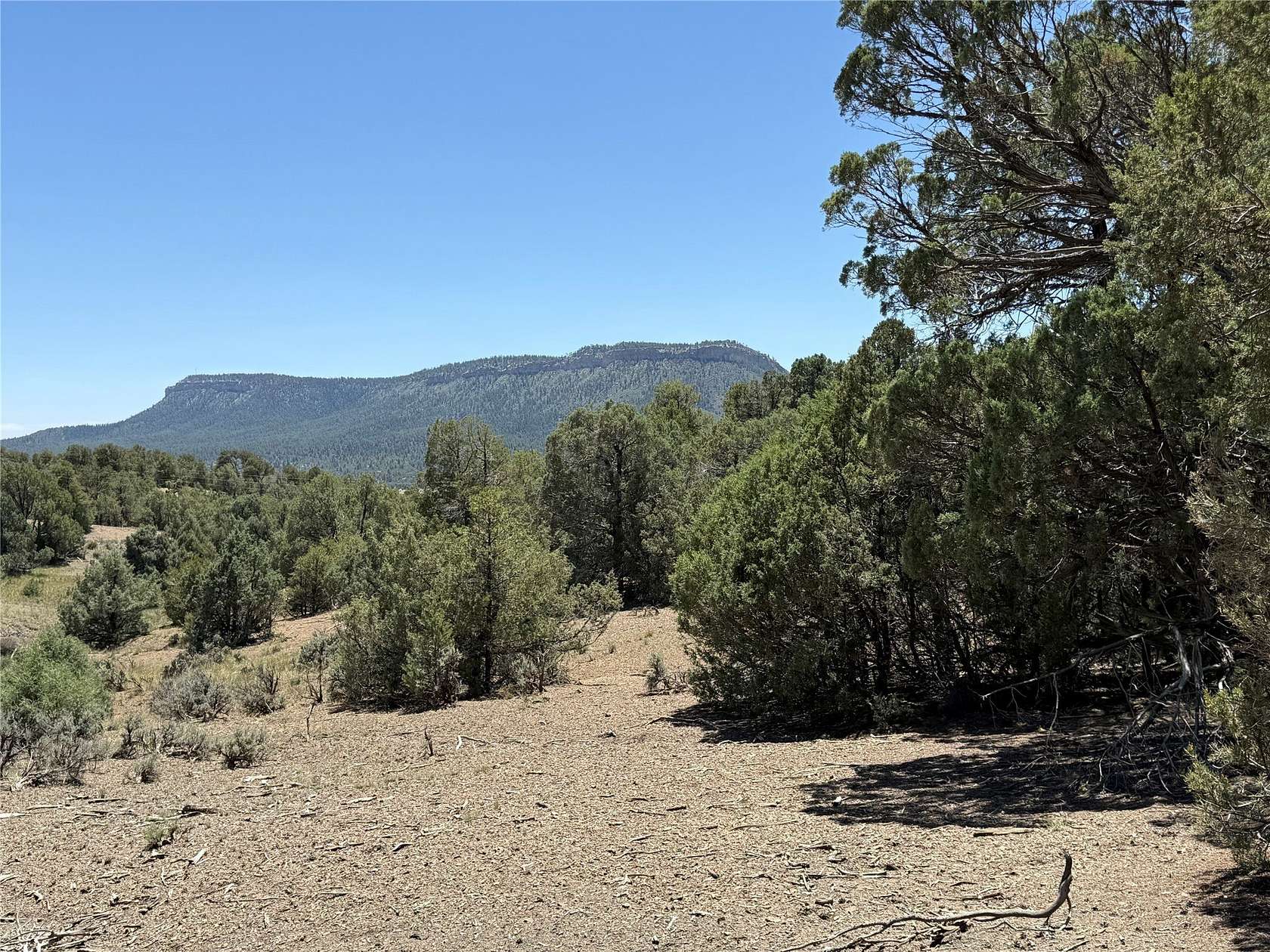 0.86 Acres of Residential Land for Sale in Los Ojos, New Mexico