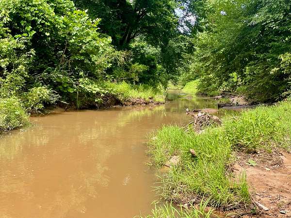 52.5 Acres of Recreational & Residential Land for Sale in Grenada, Mississippi
