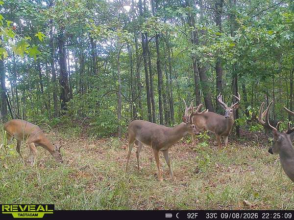 52.5 Acres of Recreational & Residential Land for Sale in Grenada, Mississippi