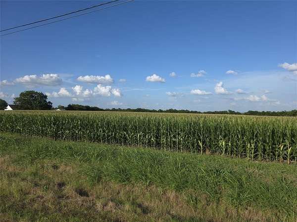 45.4 Acres of Agricultural Land for Sale in Weston, Texas