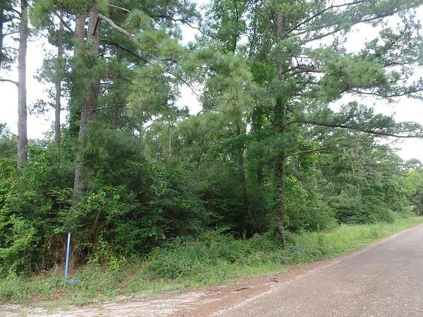 1.4 Acres of Residential Land for Sale in Shelbyville, Texas