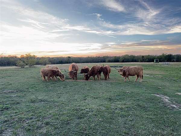 37 Acres of Agricultural Land for Sale in Campbell, Texas