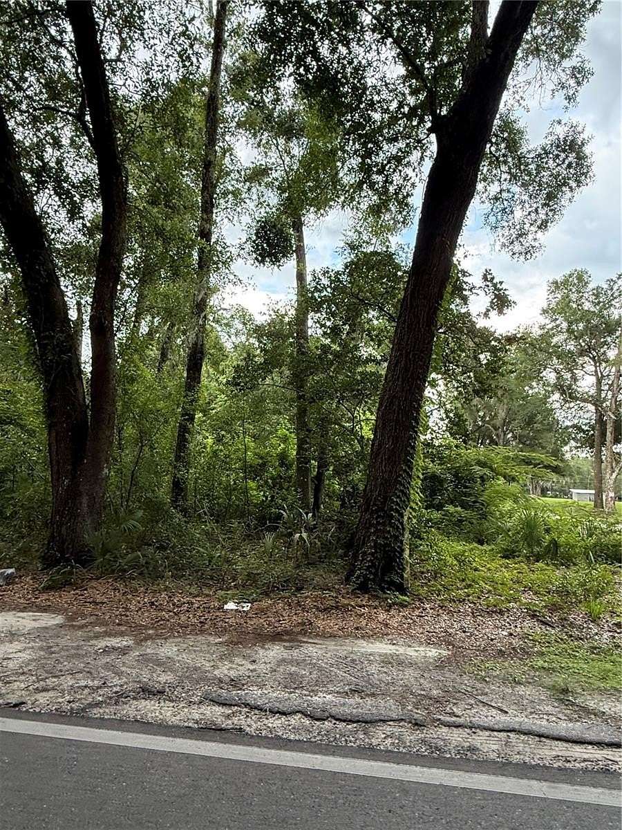 1 Acre of Residential Land for Sale in Palatka, Florida