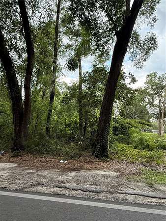 1 Acre of Residential Land for Sale in Palatka, Florida