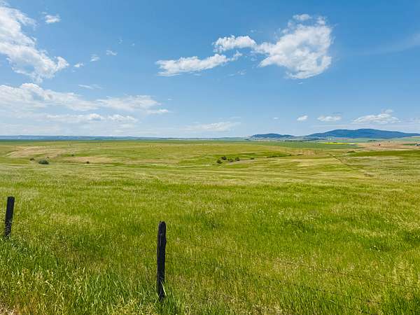 17.8 Acres of Land for Sale in Cottonwood, Idaho