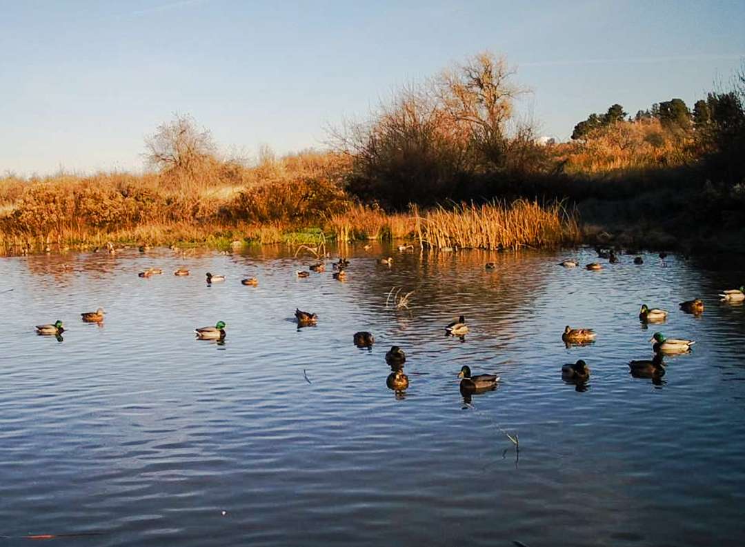 451 Acres of Land with Home for Sale in Moses Lake, Washington