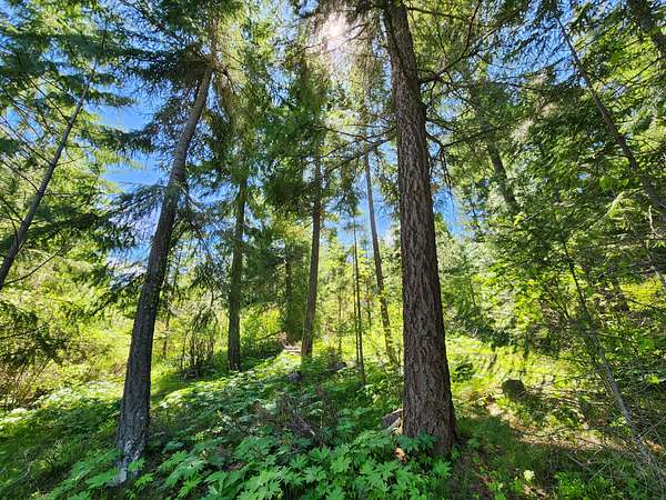 129 Acres of Recreational Land for Sale in Cle Elum, Washington