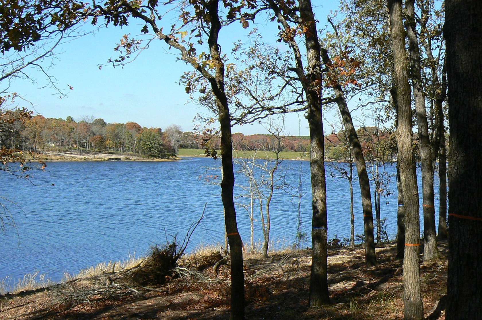 1 Acre of Residential Land for Sale in LaRue, Texas