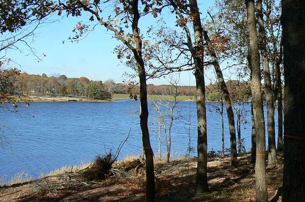1 Acre of Residential Land for Sale in LaRue, Texas