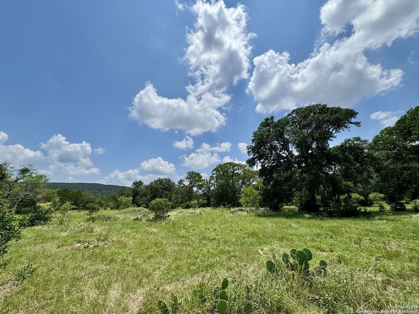 13.2 Acres of Recreational Land for Sale in Mico, Texas