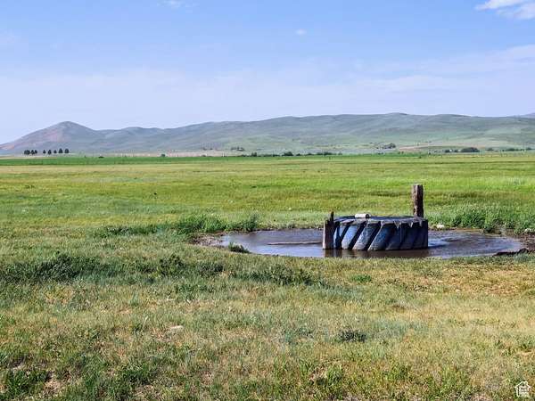381 Acres of Agricultural Land for Sale in Bancroft, Idaho