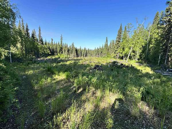 3 Acres of Residential Land for Sale in Fairbanks, Alaska