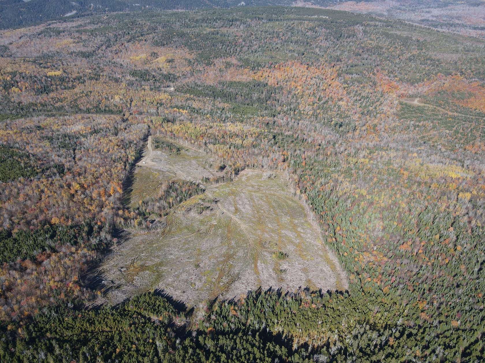 40 Acres of Recreational Land for Sale in Sandy River Plantation, Maine