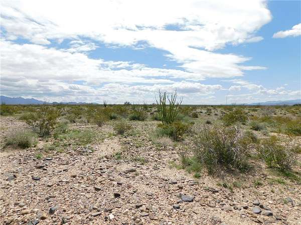 1.24 Acres of Residential Land for Sale in Yucca, Arizona