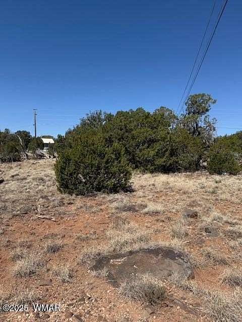 0.23 Acres of Residential Land for Sale in Show Low, Arizona