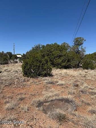 0.23 Acres of Residential Land for Sale in Show Low, Arizona
