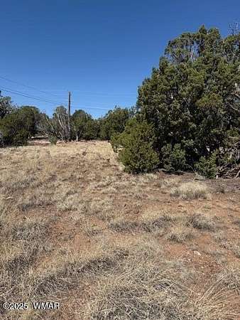 0.25 Acres of Residential Land for Sale in Show Low, Arizona
