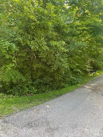 0.55 Acres of Residential Land for Sale in Bloomfield, Indiana