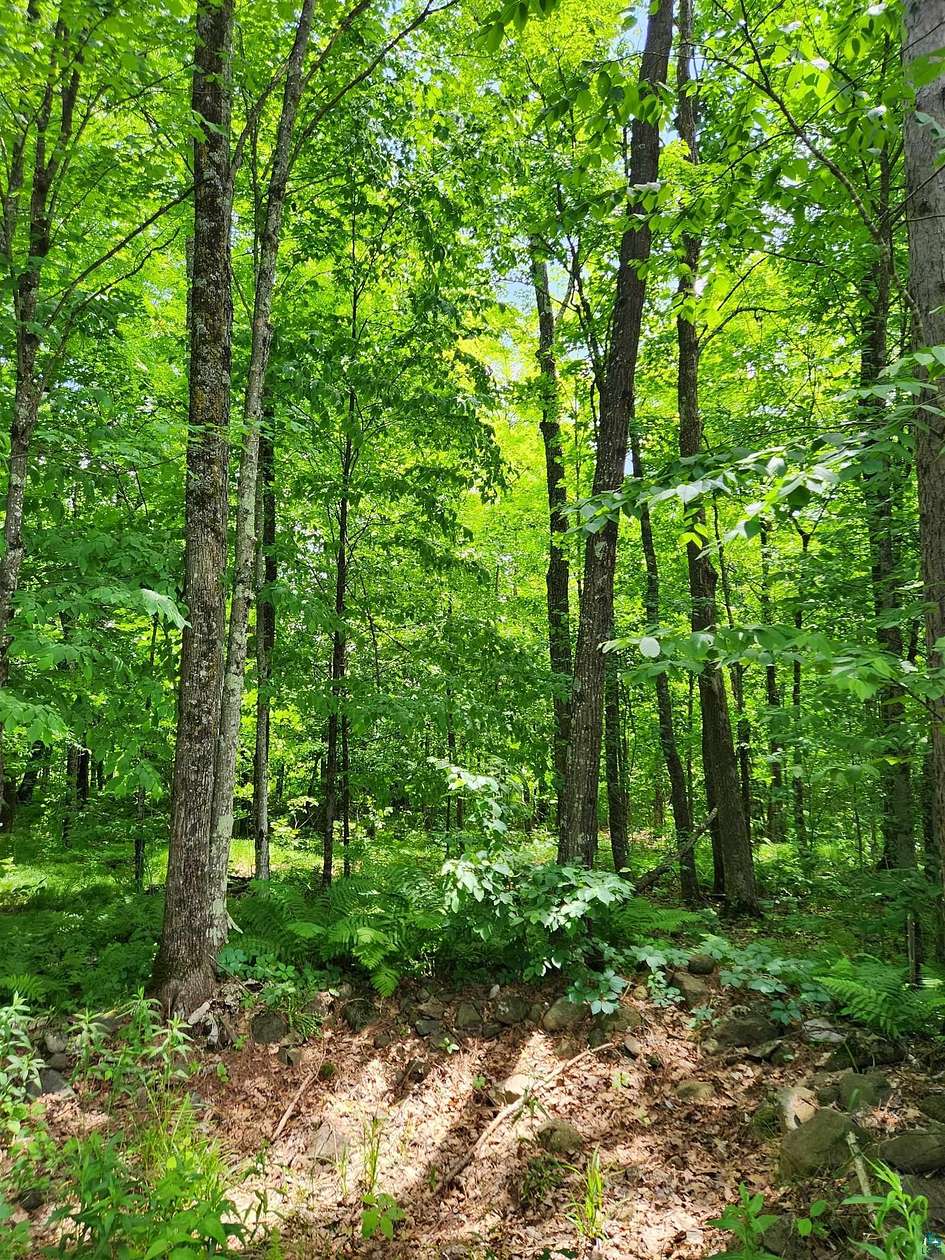 84.8 Acres of Land for Sale in Hayward, Wisconsin