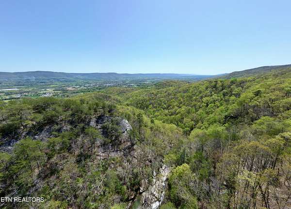175 Acres of Land for Sale in Pikeville, Tennessee