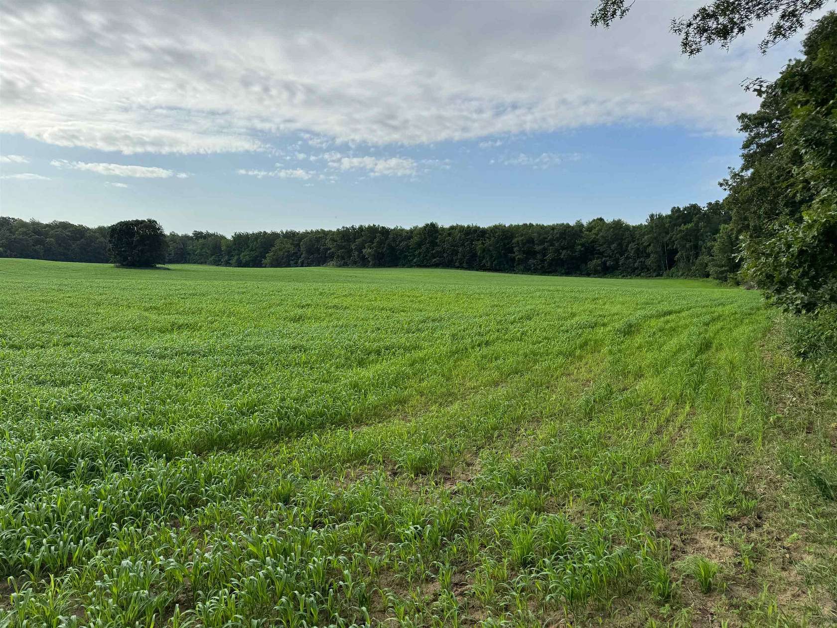 80.7 Acres of Recreational Land & Farm for Sale in Baraboo, Wisconsin