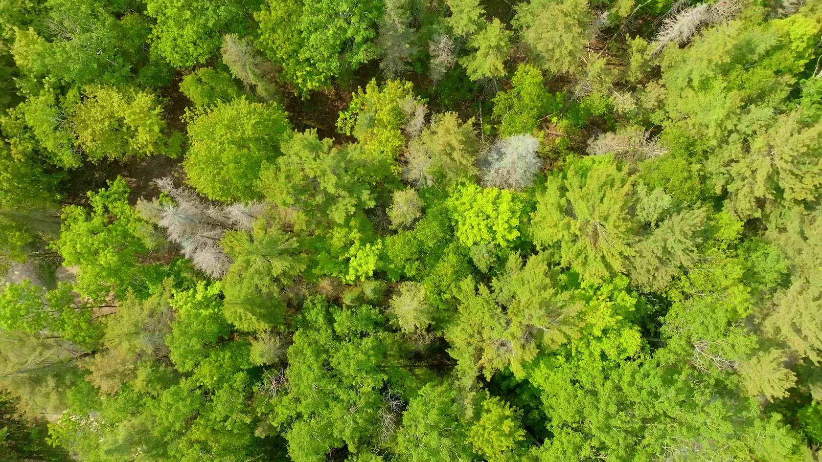 0.3 Acres of Residential Land for Sale in Beaver Island, Michigan