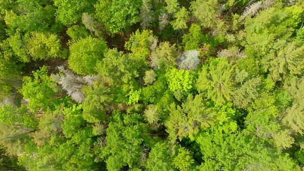 0.3 Acres of Residential Land for Sale in Beaver Island, Michigan