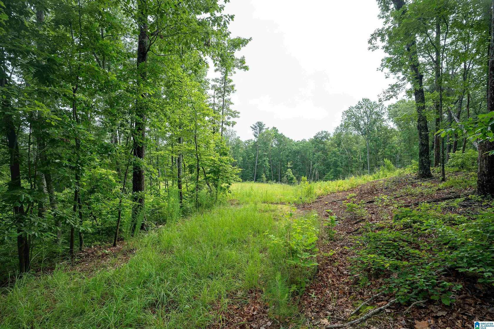 4.3 Acres of Residential Land for Sale in Hoover, Alabama