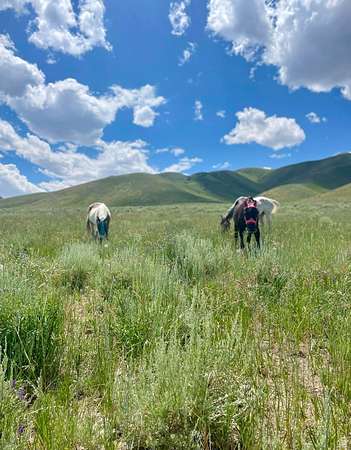 23.4 Acres of Recreational Land & Farm for Sale in Grantsville, Utah